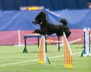 20150322-leap-0641
