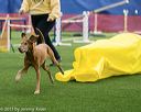 20150322-leap-0681
