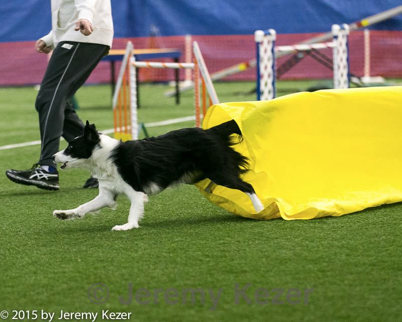 20150322-leap-0751.jpg