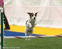 20150322-leap-0951