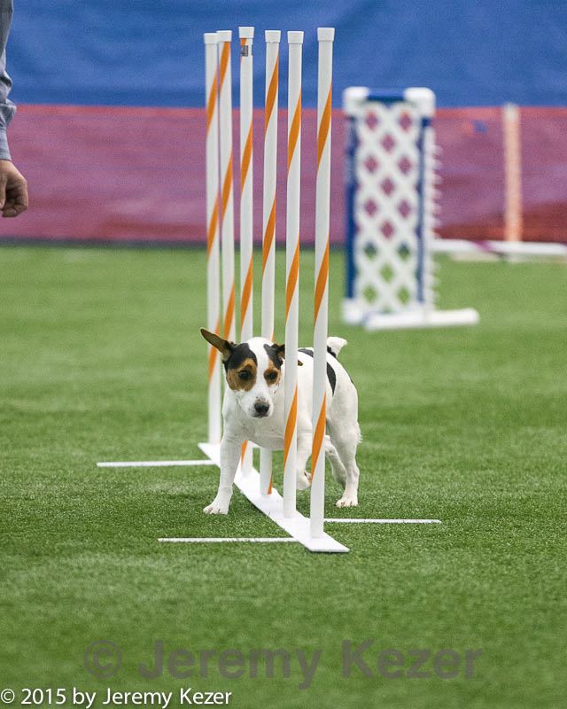20150322-leap-0945.jpg