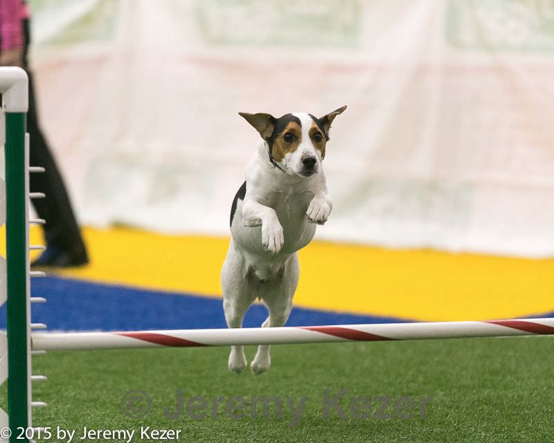 20150322-leap-0951.jpg