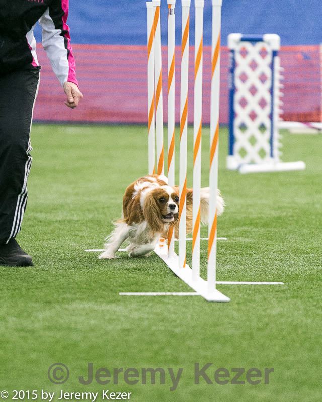 20150322-leap-0953.jpg