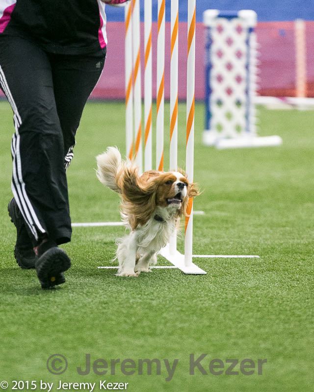 20150322-leap-0957.jpg