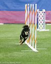 20150322-leap-0964