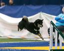 20150322-leap-0973
