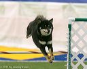 20150322-leap-0974