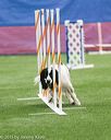20150322-leap-0980