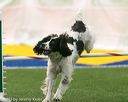 20150322-leap-0989