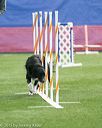 20150322-leap-0995