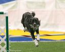 20150322-leap-1002