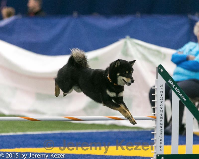 20150322-leap-0973.jpg