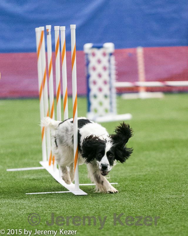 20150322-leap-0982.jpg