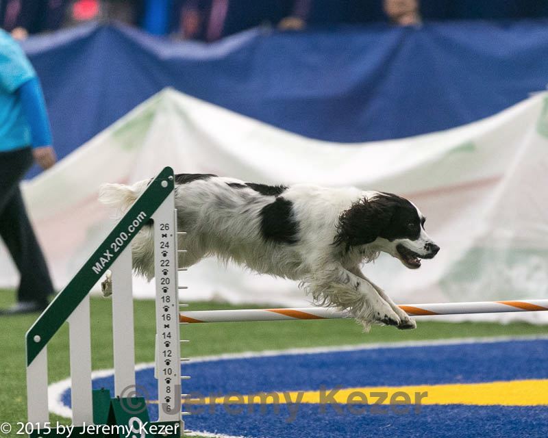 20150322-leap-0987.jpg