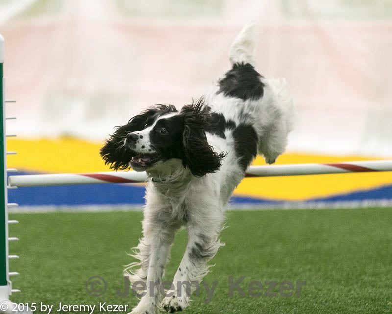 20150322-leap-0989.jpg
