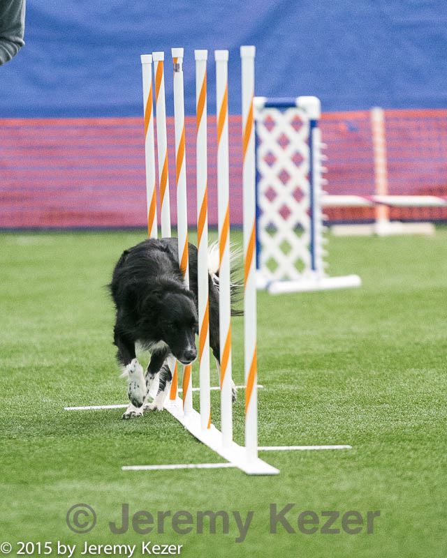 20150322-leap-0995.jpg