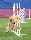 20150322-leap-1047