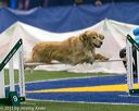 20150322-leap-1053