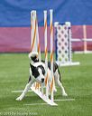 20150322-leap-1069