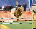 20150322-leap-1077