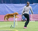 20150322-leap-1081