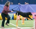 20150322-leap-1101