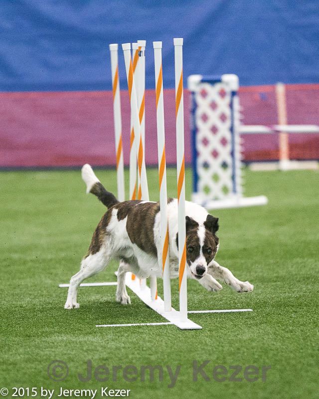 20150322-leap-1009.jpg
