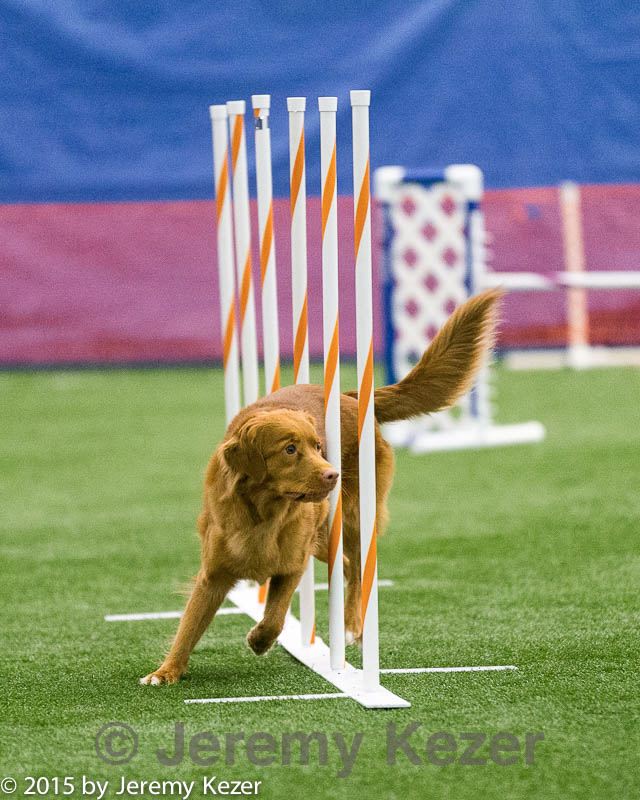 20150322-leap-1086.jpg