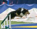 20150322-leap-1185