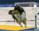 20150322-leap-1188