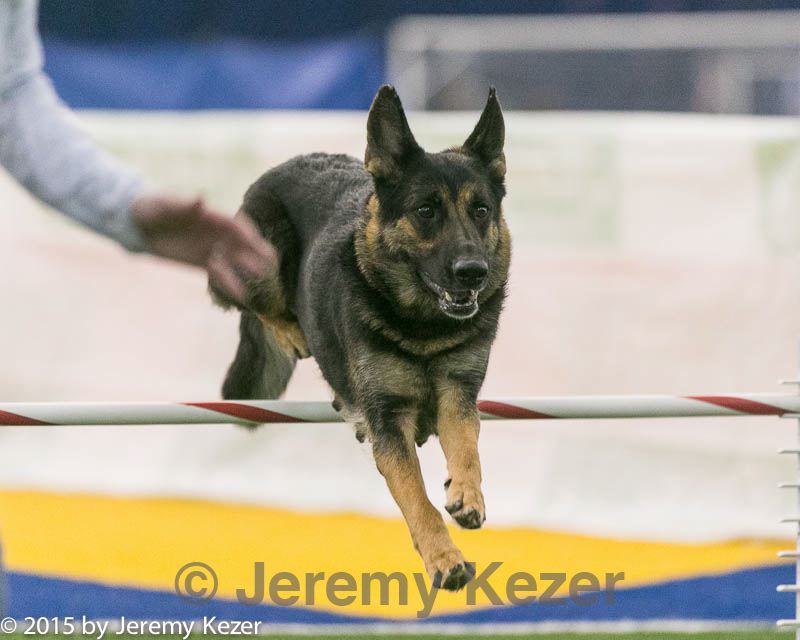 20150322-leap-1162.jpg