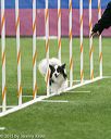 20150322-leap-0779