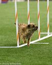 20150322-leap-0795