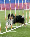 20150322-leap-0830