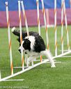 20150322-leap-0906