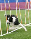 20150322-leap-0909