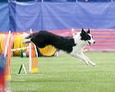 20150322-leap-0912