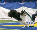 20150322-leap-0920