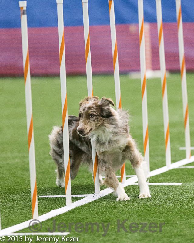 20150322-leap-0873.jpg