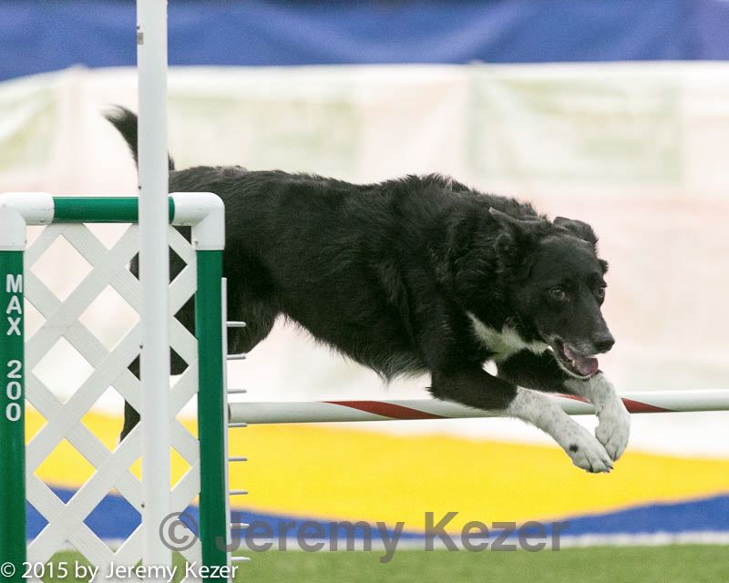 20150322-leap-0889.jpg