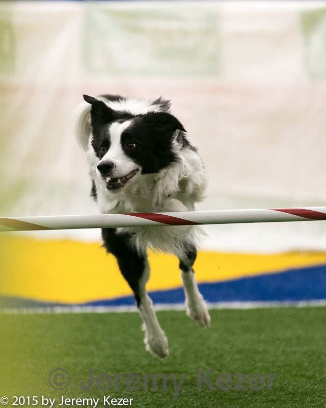 20150322-leap-0916.jpg