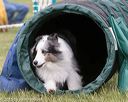 20150516-neat-1033
