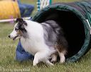 20150516-neat-1035