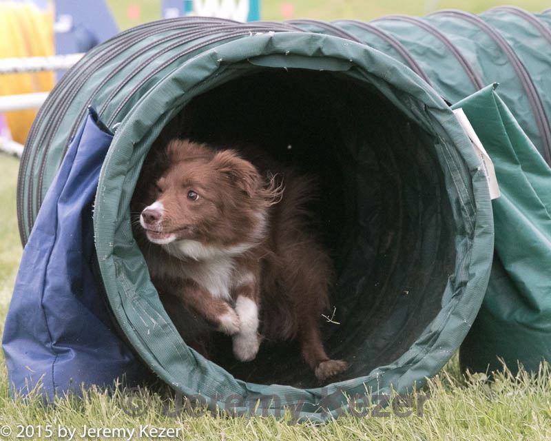 20150516-neat-1073.jpg