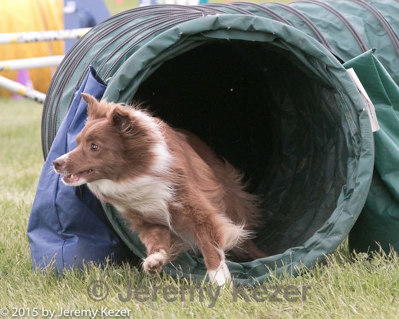 20150516-neat-1074.jpg