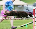 20150516-neat-0743