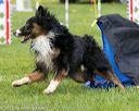 20150516-neat-0792