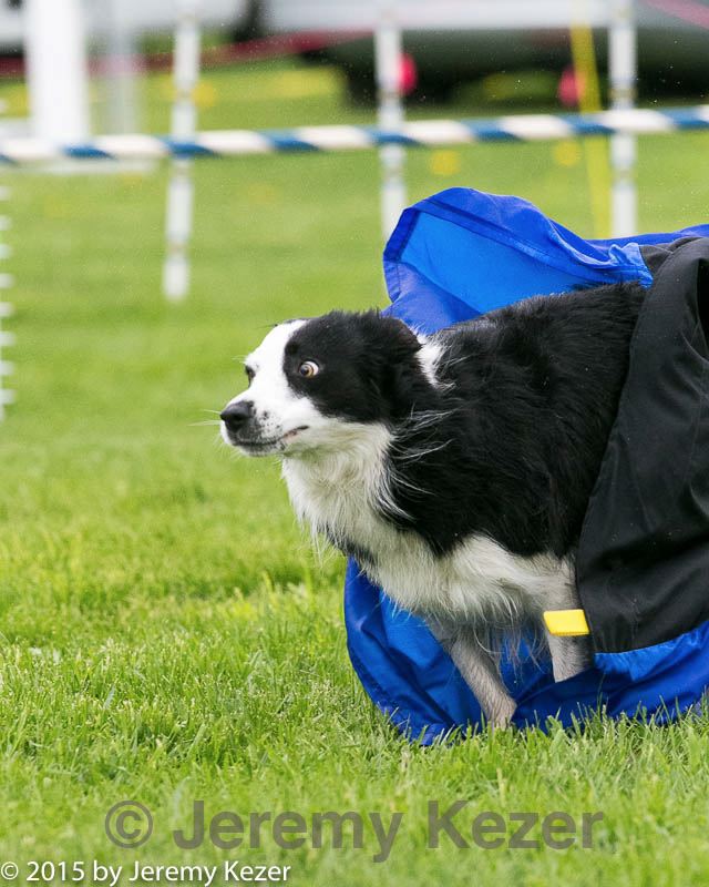 20150516-neat-0738.jpg