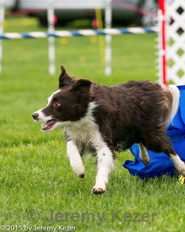 20150516-neat-0745.jpg