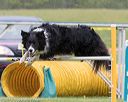20150516-neat-0824